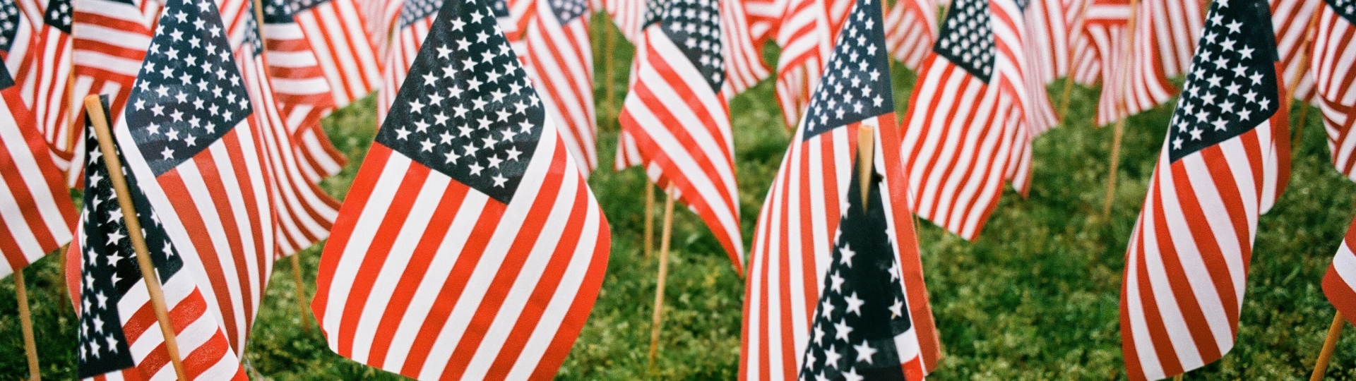 Field of US flags